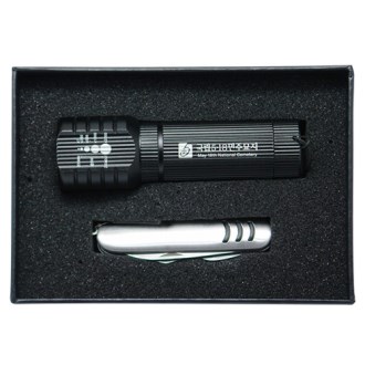 AQ ���� �ķ��� + �ư��̹� Į