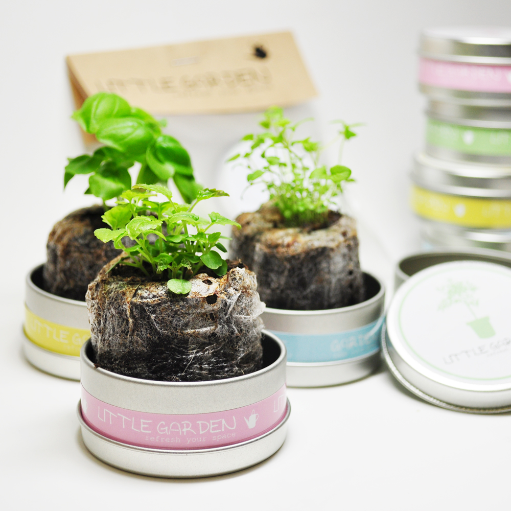 ��Ʋ���� ĵ ��輼Ʈ